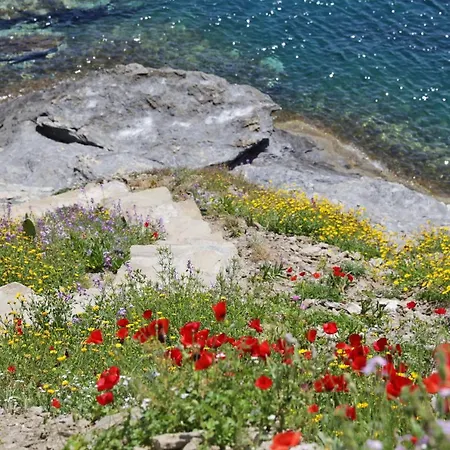 Camara Homes Ándros