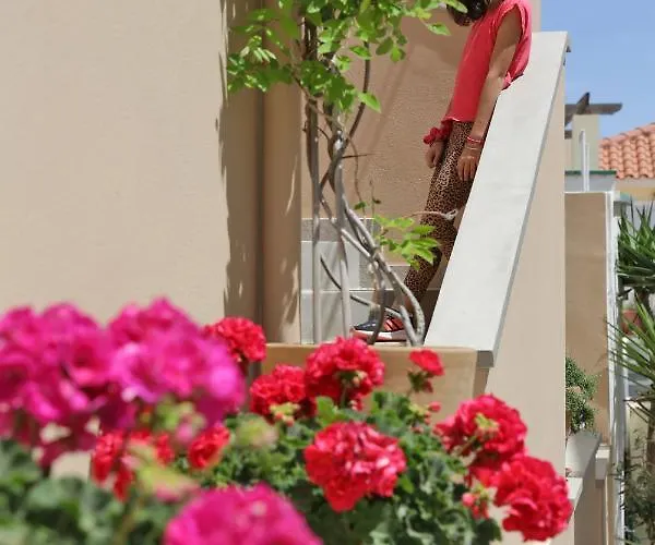 Camara Homes * Ándros