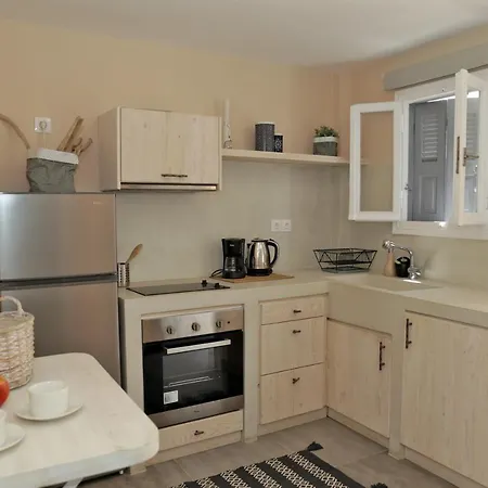 Camara Homes 아파트 Ándros