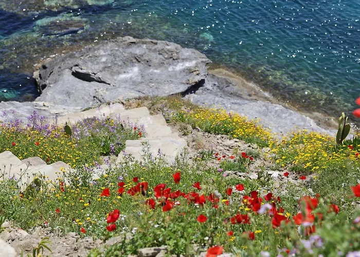 Camara Homes Ándros